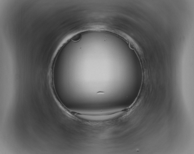 X0000110941432200906191222