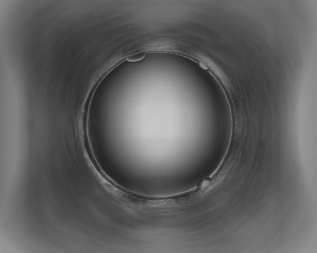 X0000110941434200906191222