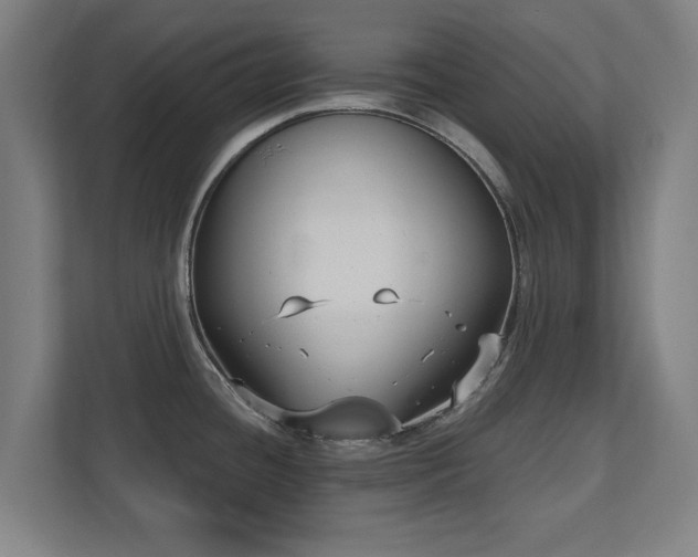 X0000110941436200906191222