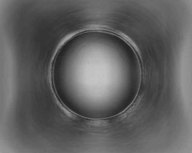 X0000110941437200906191222