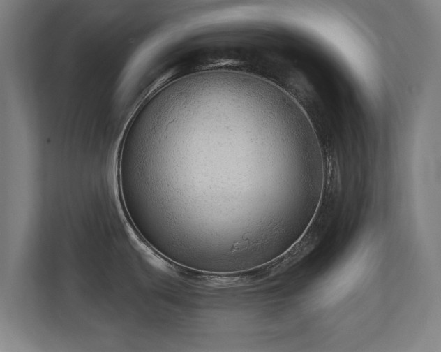 X0000110941439200906191222