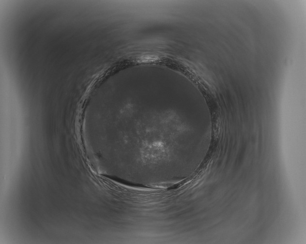 X0000110941441200906191221