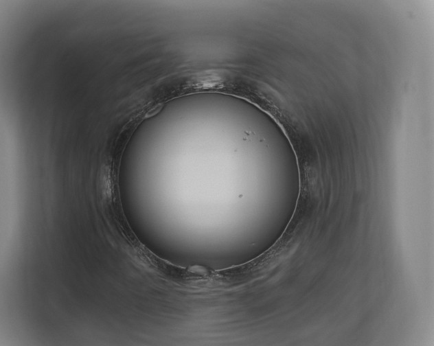 X0000110941442200906191221