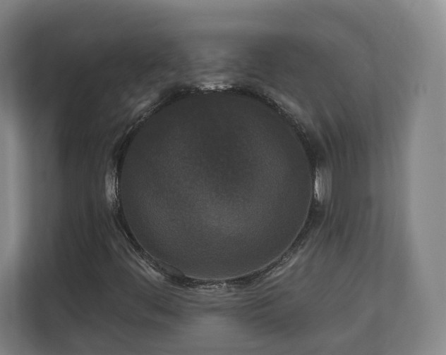 X0000110941444200906191221
