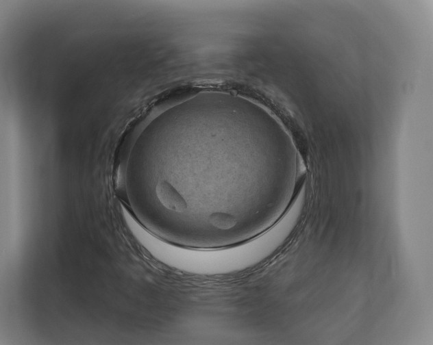 X0000110941445200906191221