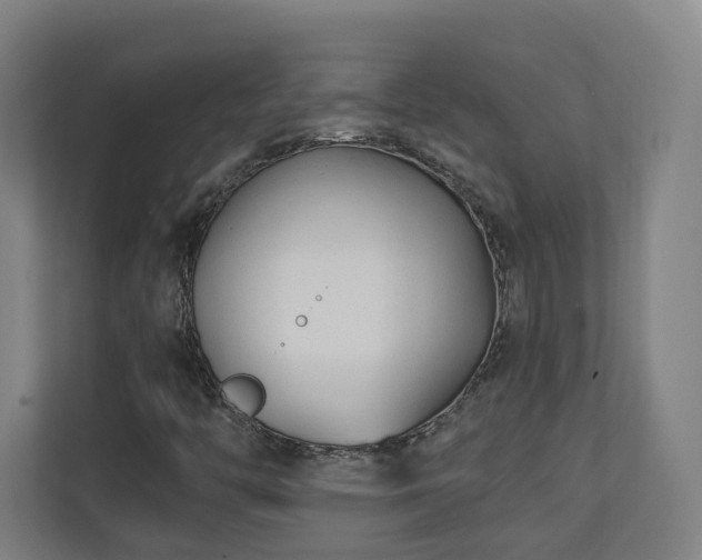 X0000110941446200906191221