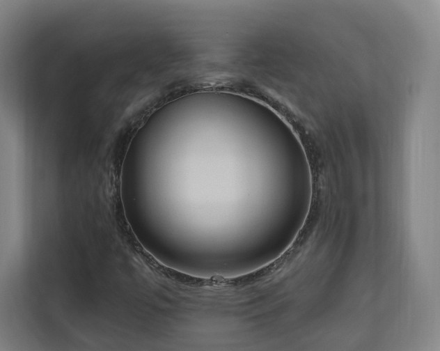 X0000110941447200906191221