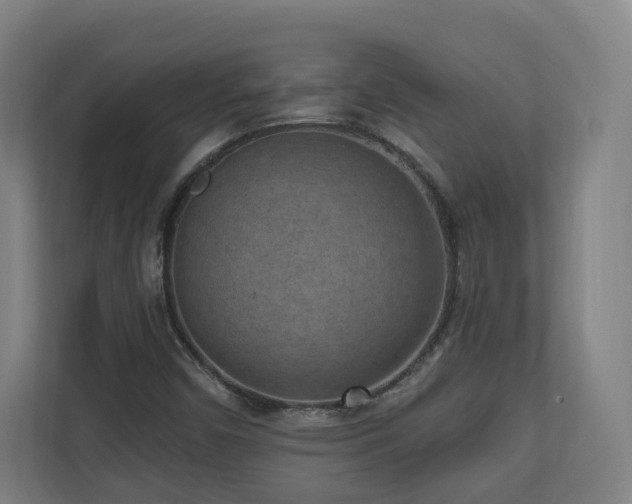 X0000110941450200906191221
