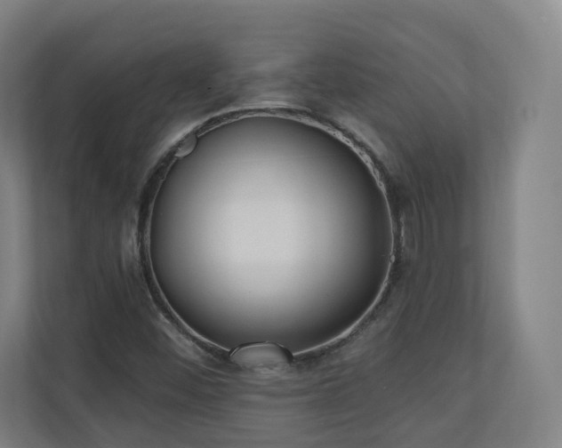X0000110941452200906191221