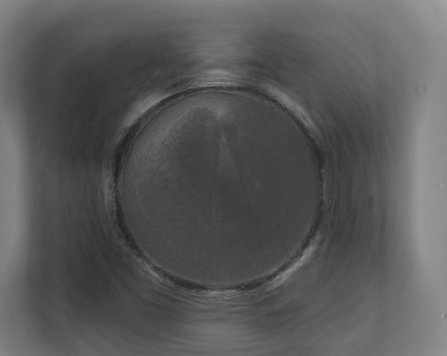 X0000110941453200906191221