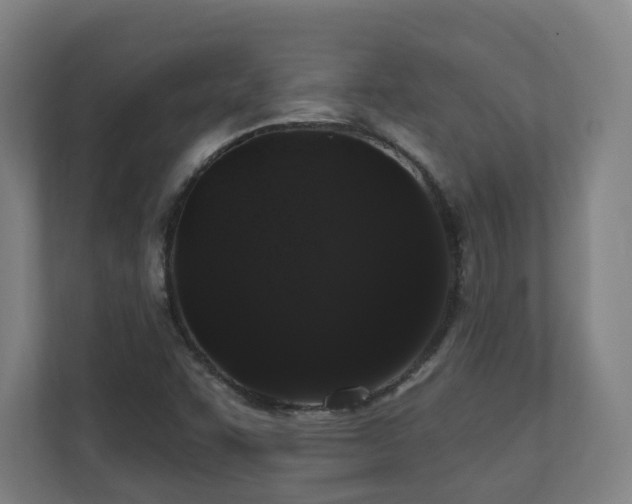 X0000110941455200906191221