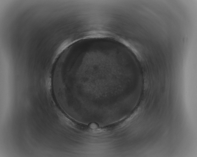 X0000110941459200906191221