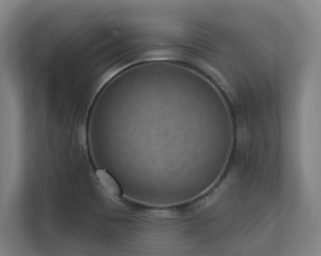 X0000110941465200906191221