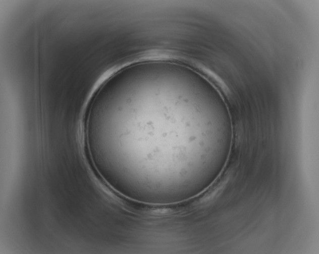 X0000110941467200906191221