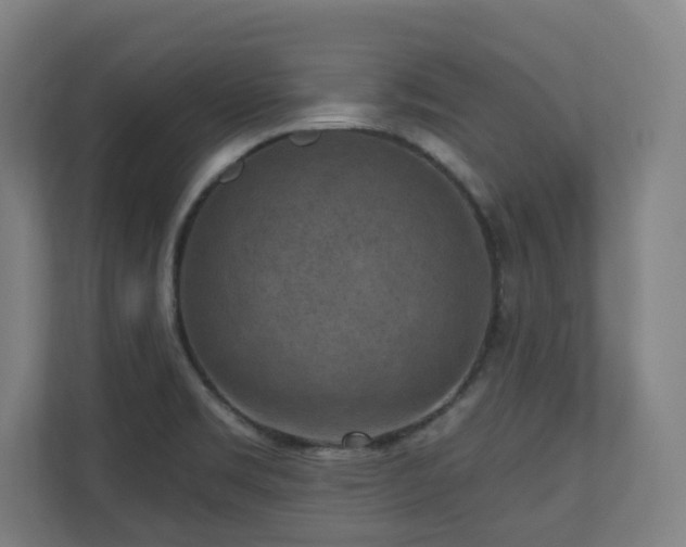 X0000110941469200906191221