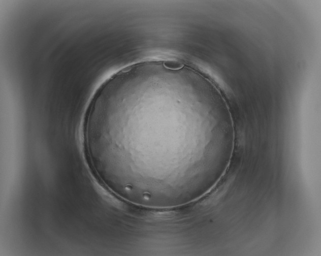 X0000110941471200906191221