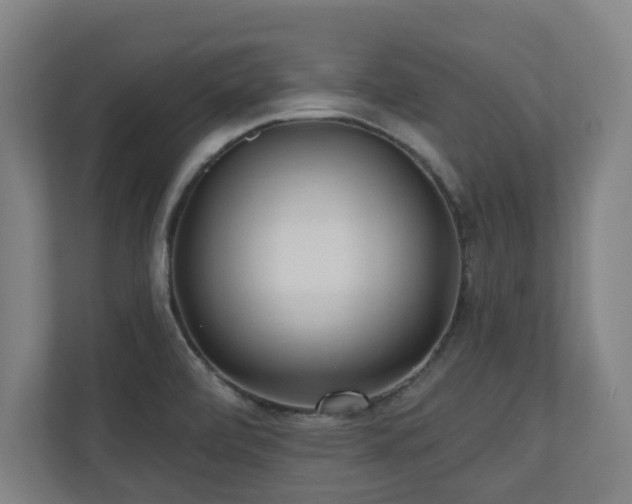 X0000110941472200906191221