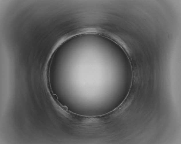 X0000110941475200906191221
