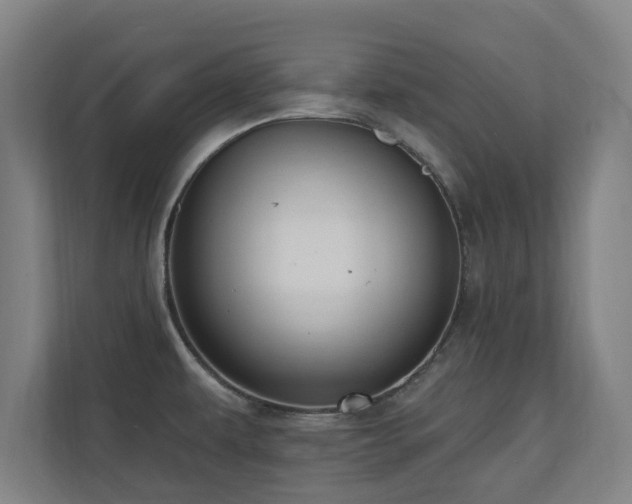 X0000110941479200906191221