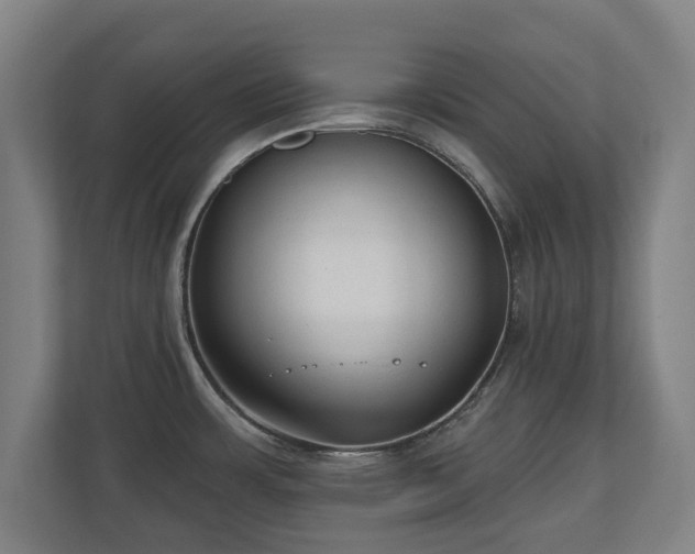 X0000110941483200906191220