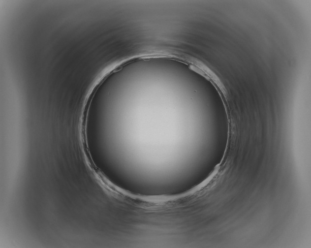 X0000110941485200906191220