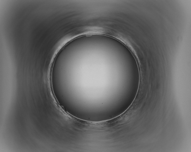 X0000110941488200906191220