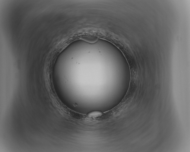 X0000110941489200906191220
