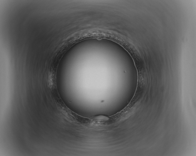 X0000110941490200906191220