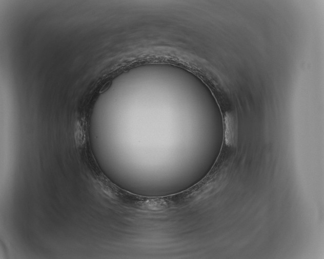 X0000110941491200906191220