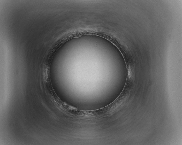 X0000110941492200906191220