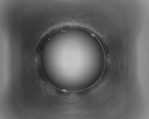 X0000110941495200906191220