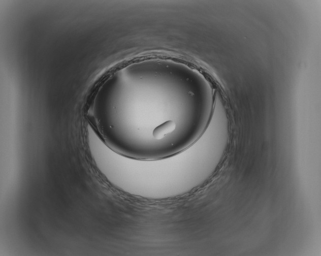 X0000110941496200906191220