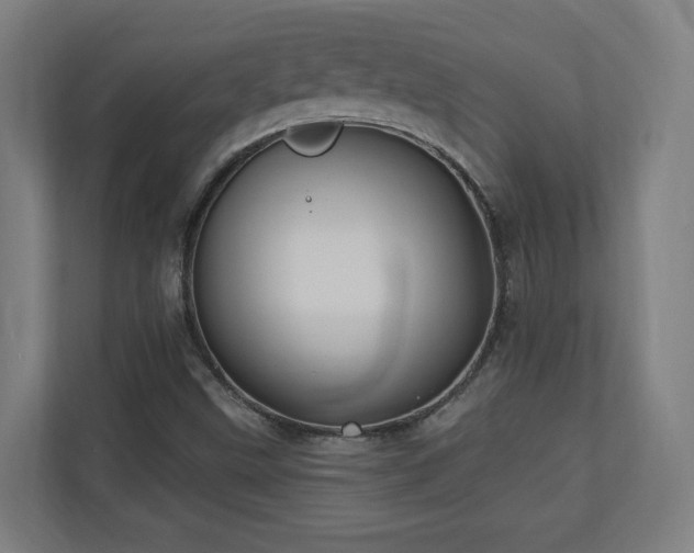 X0000110941499200906191220