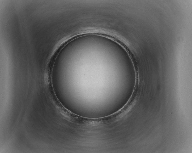 X0000110941501200906191220