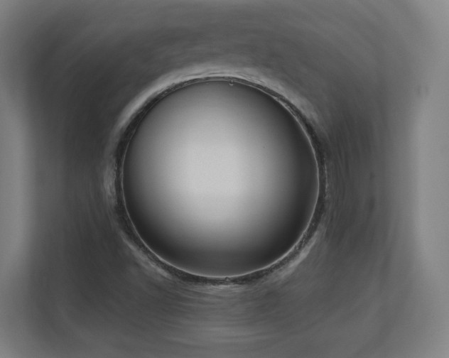 X0000110941502200906191220