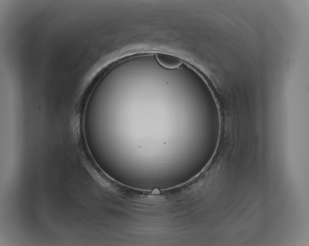 X0000110941503200906191220