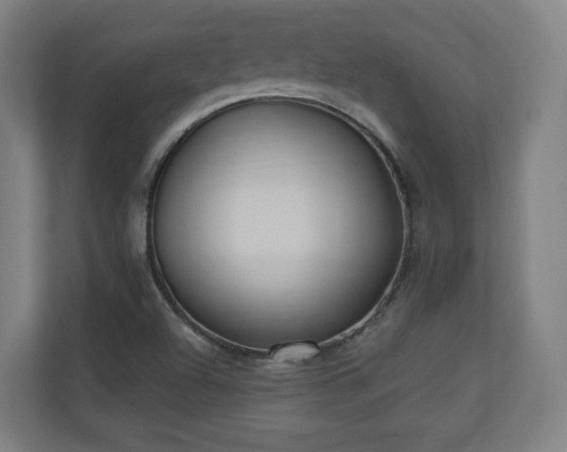 X0000110941504200906191220