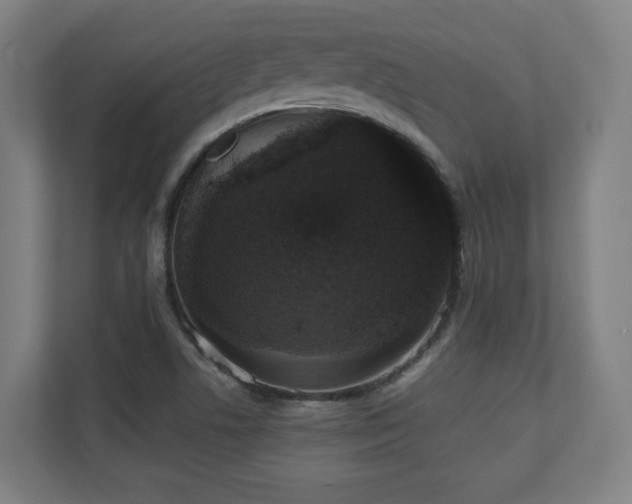X0000110941506200906191220