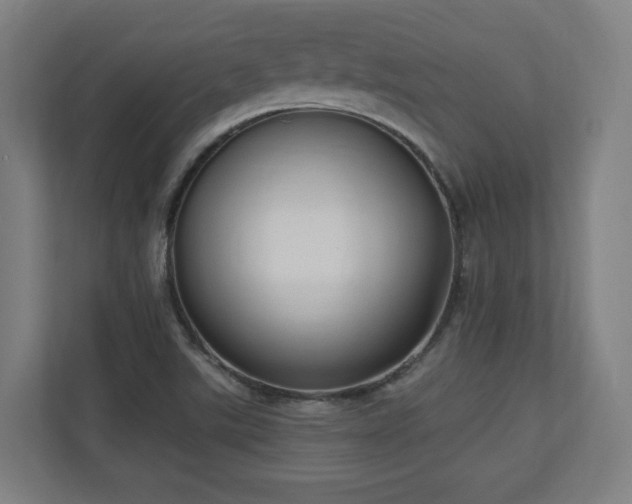 X0000110941507200906191220