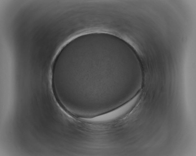 X0000110941508200906191220