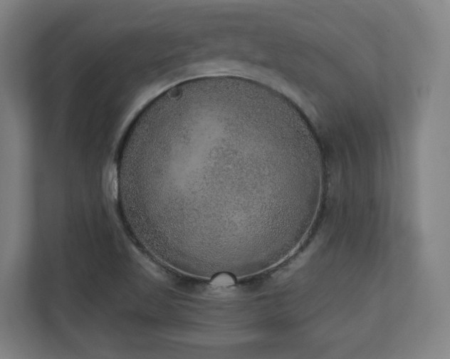 X0000110941509200906191220