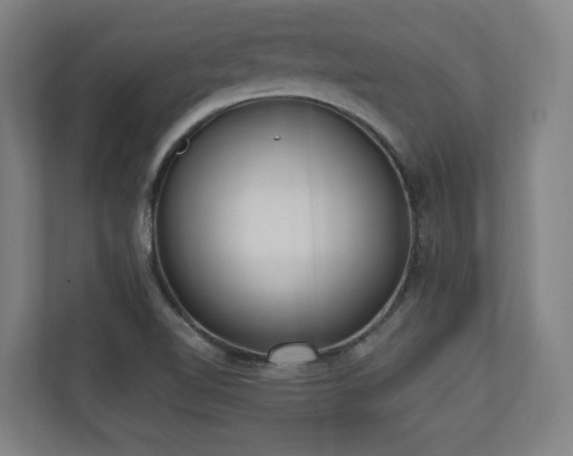 X0000110941510200906191220