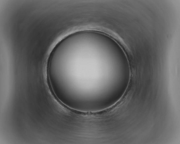 X0000110941512200906191220
