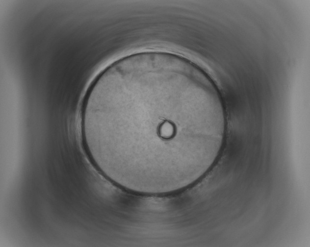 X0000110941514200906191220