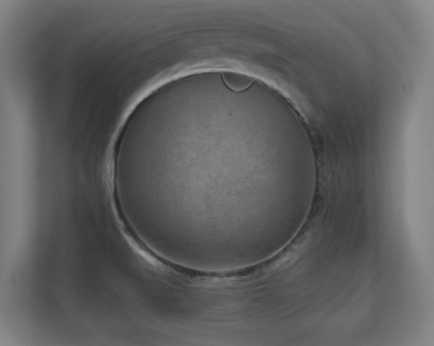 X0000110941519200906191220
