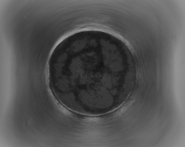 X0000110941522200906191220