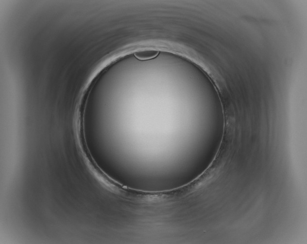 X0000110941523200906191220