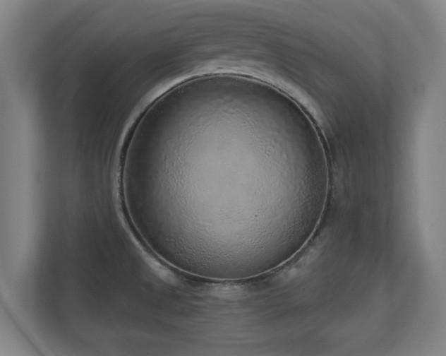 X0000110941525200906191220