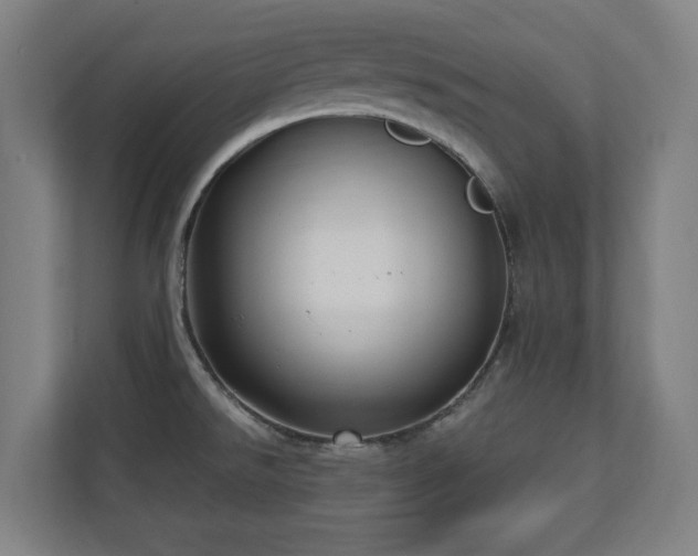 X0000110941526200906191220