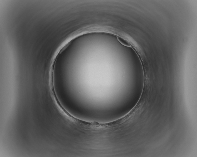 X0000110941528200906191220